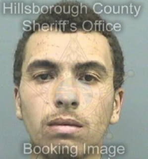 Cruz Enrique - Hillsborough County, Florida 