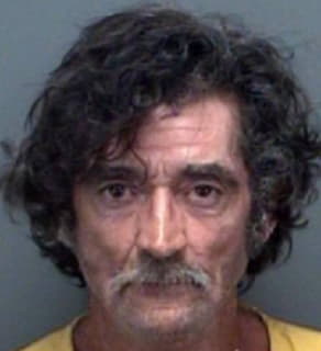 Goodman Lonnie - Pinellas County, Florida 