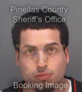 Robbins Michael - Pinellas County, Florida 