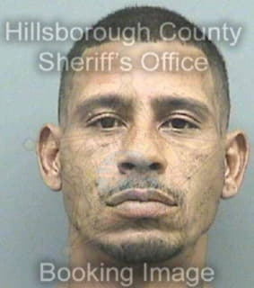 Rogriguez Christopher - Hillsborough County, Florida 