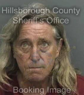 Anderson Leroy - Hillsborough County, Florida 