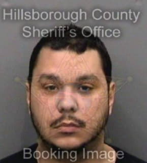 Alvarez Daniel - Hillsborough County, Florida 