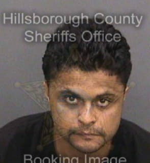 Rodriguez Gino - Hillsborough County, Florida 