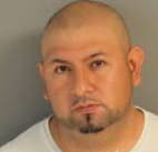 Trejo Aner - Shelby County, Tennessee 