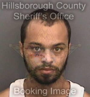 Williams Keisean - Hillsborough County, Florida 