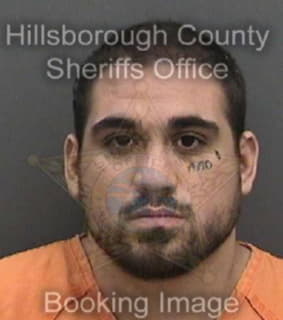 Carlson Lukas - Hillsborough County, Florida 