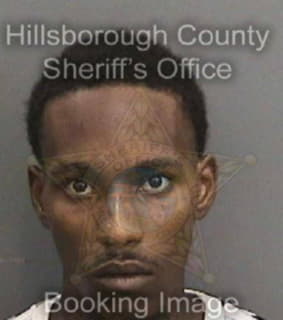 Davis Mashay - Hillsborough County, Florida 