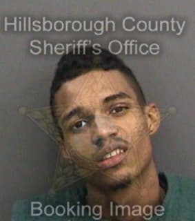 Cody Robert - Hillsborough County, Florida 