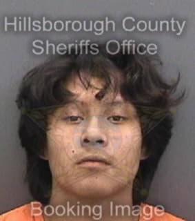 Delacruz Wilbert - Hillsborough County, Florida 