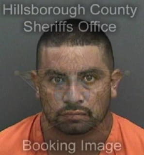 Riossalazar Daniel - Hillsborough County, Florida 