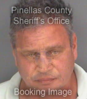 Dejesus Harry - Pinellas County, Florida 