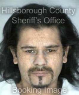 Ramirez Jose - Hillsborough County, Florida 