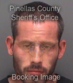 Auger Michael - Pinellas County, Florida 