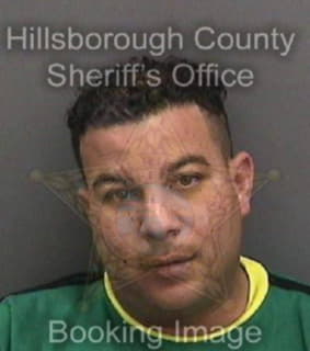 Rodriguezmilanes Fernando - Hillsborough County, Florida 