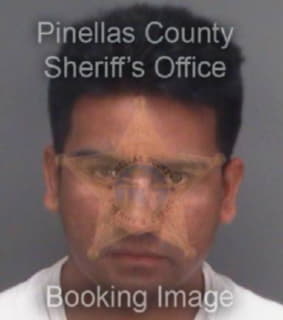 Rocha Miguel - Pinellas County, Florida 