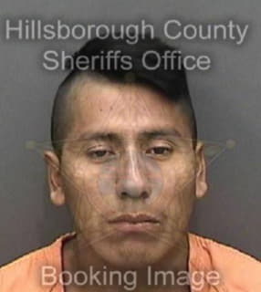 Perez Onofre - Hillsborough County, Florida 