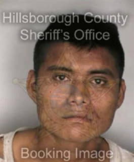 Lopez Andre - Hillsborough County, Florida 