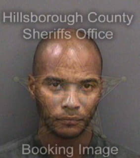 Johnson Michael - Hillsborough County, Florida 