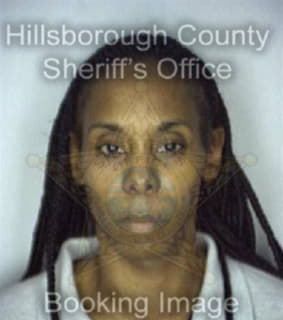 Sheridan Michaelle - Hillsborough County, Florida 