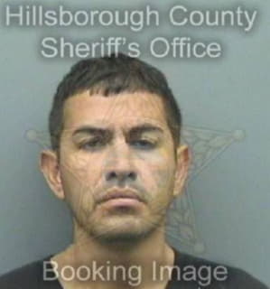 Martinez Edjar - Hillsborough County, Florida 