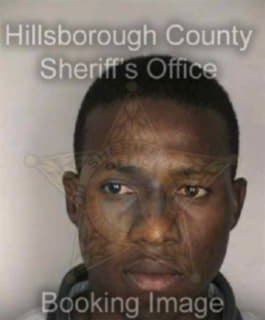 Celestin Naasson - Hillsborough County, Florida 