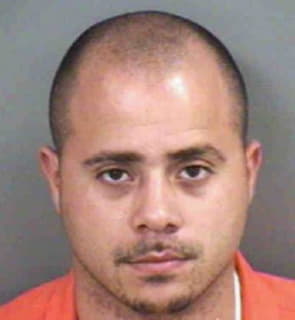 Acevedo Raymond - Collier County, Florida 