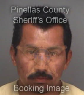 Morales Anastacio - Pinellas County, Florida 