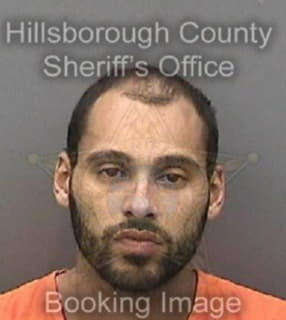 Lattimore Joshua - Hillsborough County, Florida 