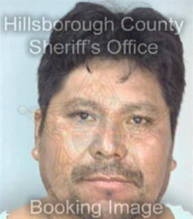 Desantiago Raul - Hillsborough County, Florida 