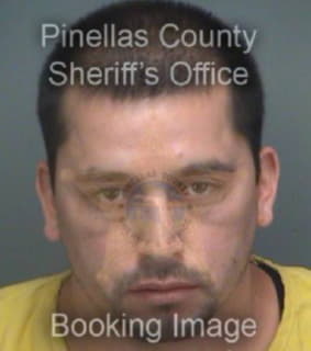 Martinez Robert - Pinellas County, Florida 