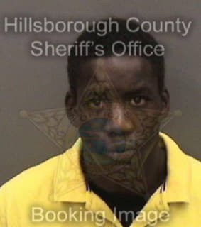 Lewis Dominique - Hillsborough County, Florida 