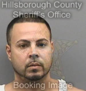 Negron Israel - Hillsborough County, Florida 