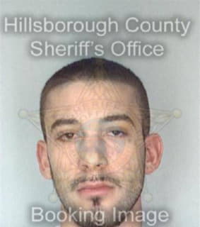 Mixon Ryan - Hillsborough County, Florida 