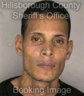 Fajardo William - Hillsborough County, Florida 