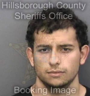 Salinas Matthew - Hillsborough County, Florida 