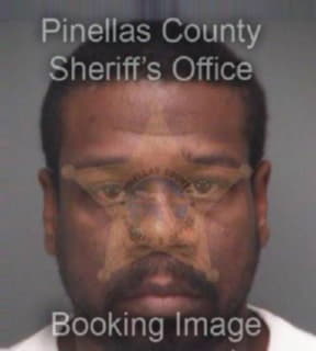 Armstrong Shawn - Pinellas County, Florida 