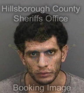 Perez George - Hillsborough County, Florida 