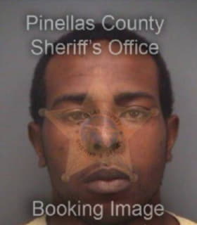 Burgess Linwood - Pinellas County, Florida 