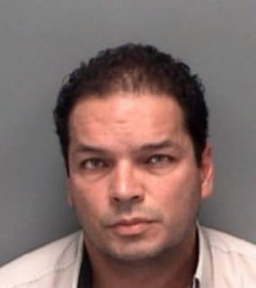 Martinez Anthony - Pinellas County, Florida 