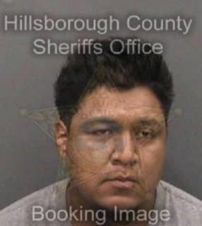 Ortizsantos Gerardo - Hillsborough County, Florida 