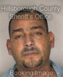 Perez Reynaldo - Hillsborough County, Florida 