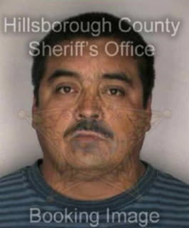 Razo Francisco - Hillsborough County, Florida 