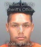 Fay Lawrence - Pinellas County, Florida 
