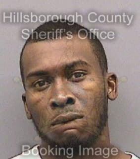 Mckinney Andron - Hillsborough County, Florida 