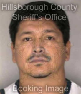 Rodriguez Favio - Hillsborough County, Florida 