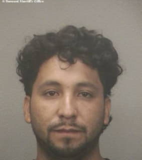 Hernandez Jaime - Broward County, Florida 