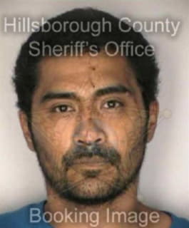 Cruz Leonel - Hillsborough County, Florida 