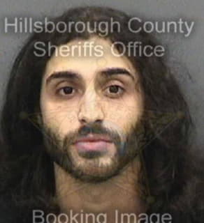 Cintron Luis - Hillsborough County, Florida 