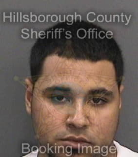 Diaz Yaynier - Hillsborough County, Florida 