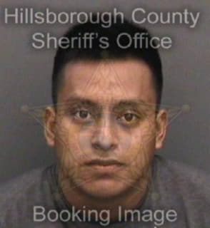 Perez Rudy - Hillsborough County, Florida 